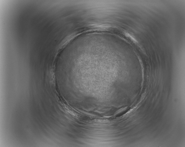 X0000071801354200607150136