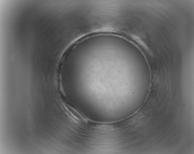 X0000071801356200607150136