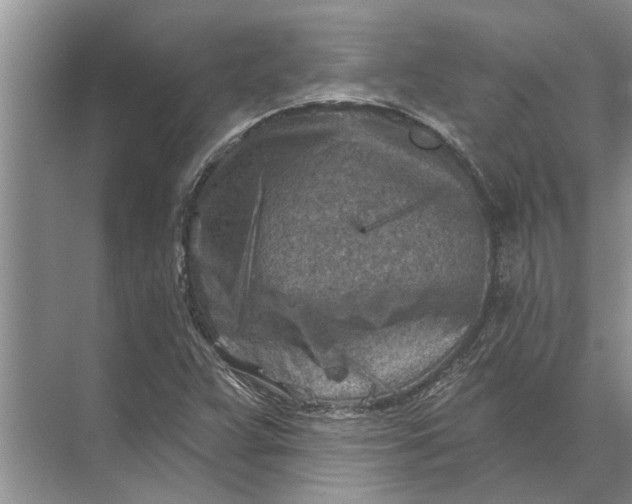 X0000071801359200607150136