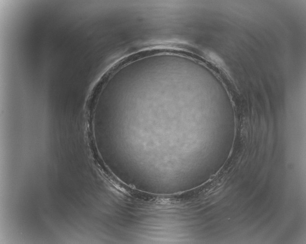 X0000071801360200607150136