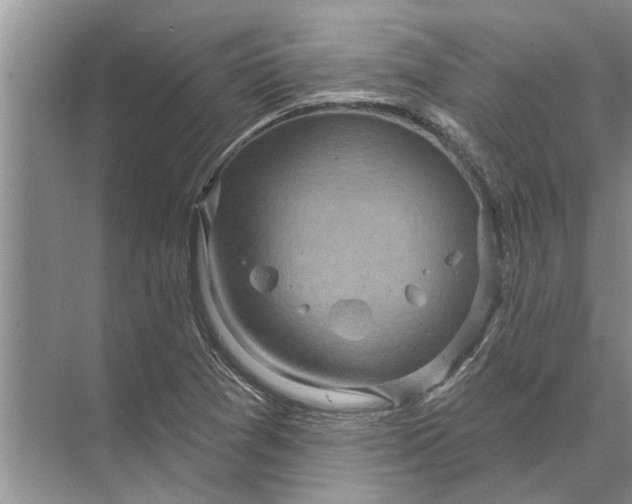 X0000071801361200607150136