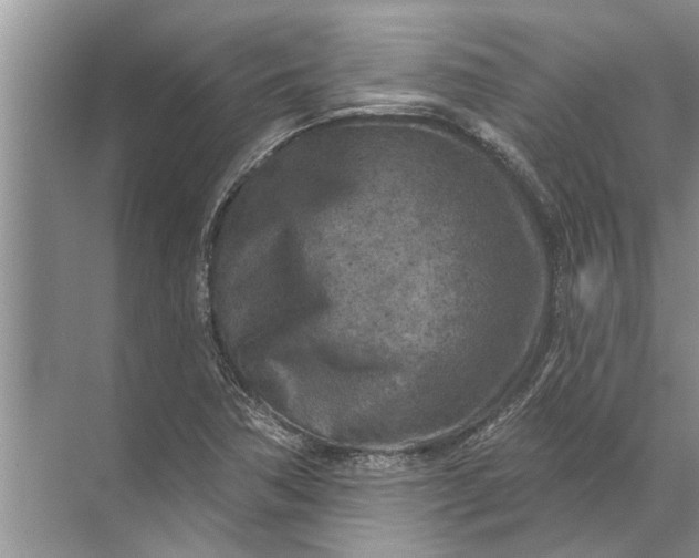 X0000071801362200607150136