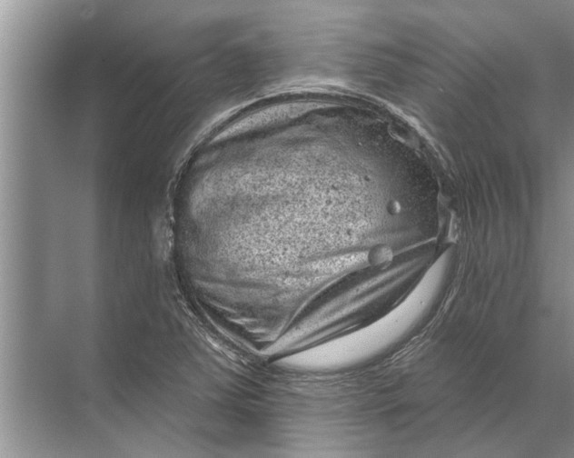 X0000071801363200607150136