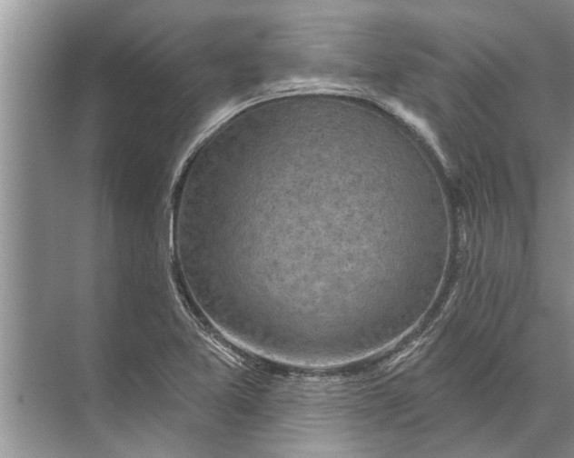 X0000071801365200607150136