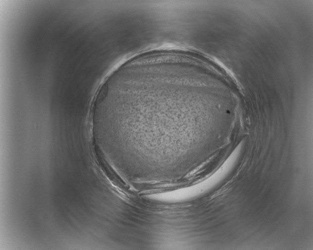 X0000071801367200607150136