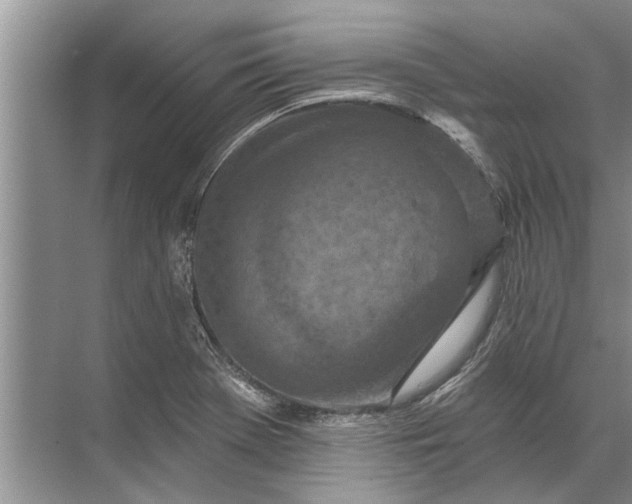 X0000071801369200607150136