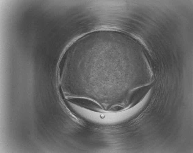 X0000071801371200607150136