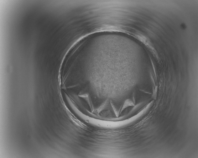 X0000071801372200607150135