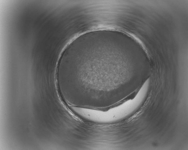 X0000071801373200607150135