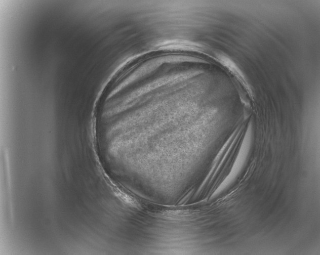 X0000071801376200607150135