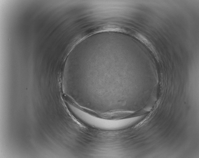 X0000071801377200607150135