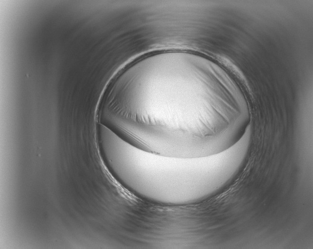 X0000071801380200607150135