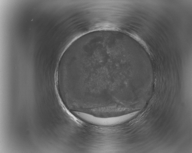 X0000071801383200607150135