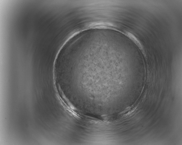 X0000071801384200607150135