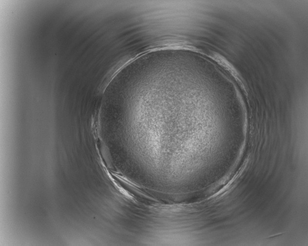 X0000071801385200607150135