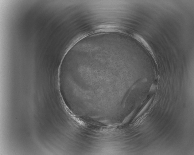 X0000071801386200607150135