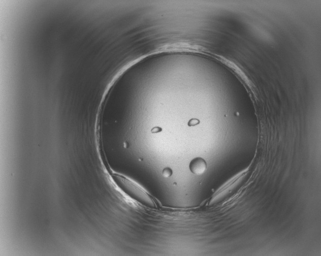 X0000071801387200607150135