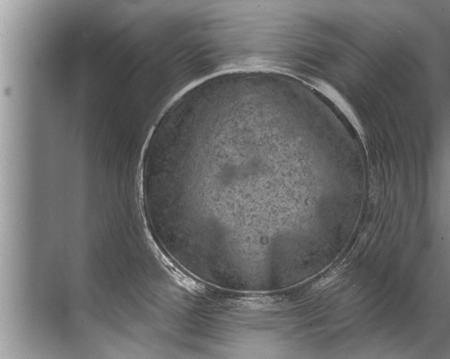 X0000071801388200607150135