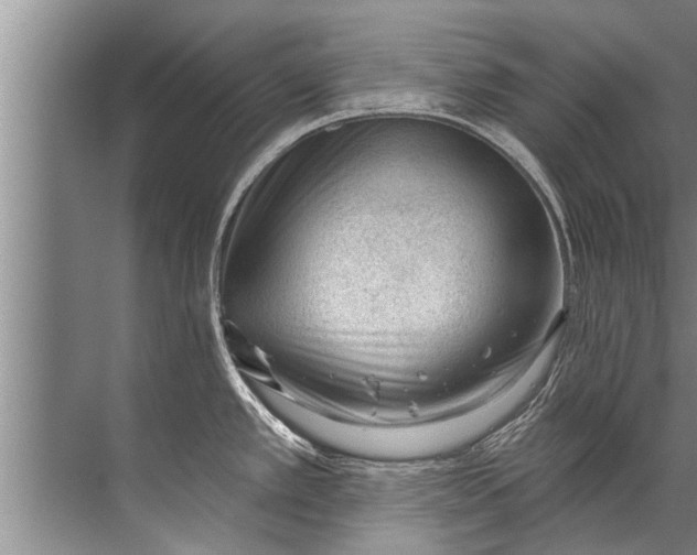 X0000071801389200607150135