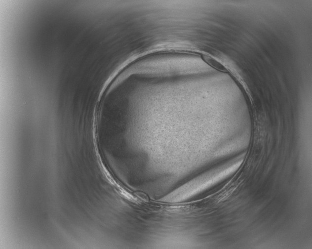 X0000071801390200607150135