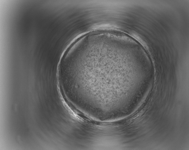 X0000071801392200607150135