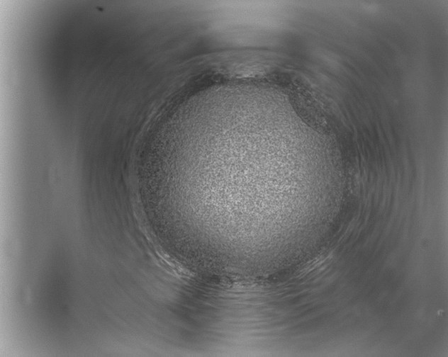 X0000071801393200607150134