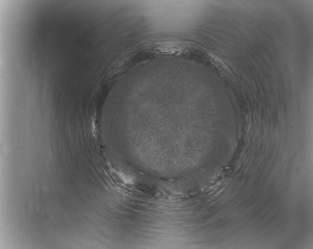 X0000071801394200607150134