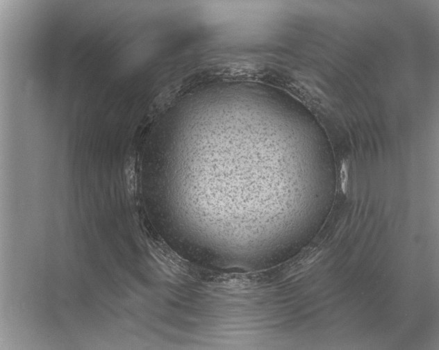 X0000071801395200607150134