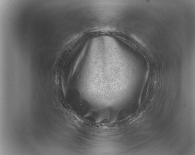 X0000071801398200607150134