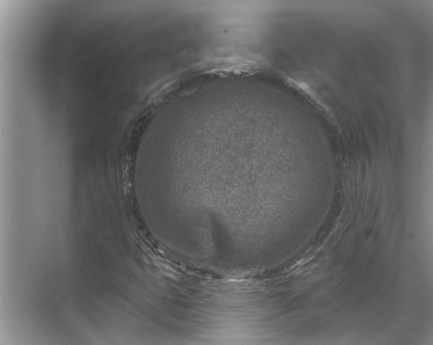 X0000071801399200607150134