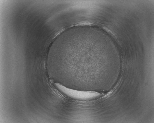 X0000071801401200607150134