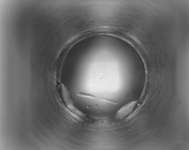 X0000071801402200607150135