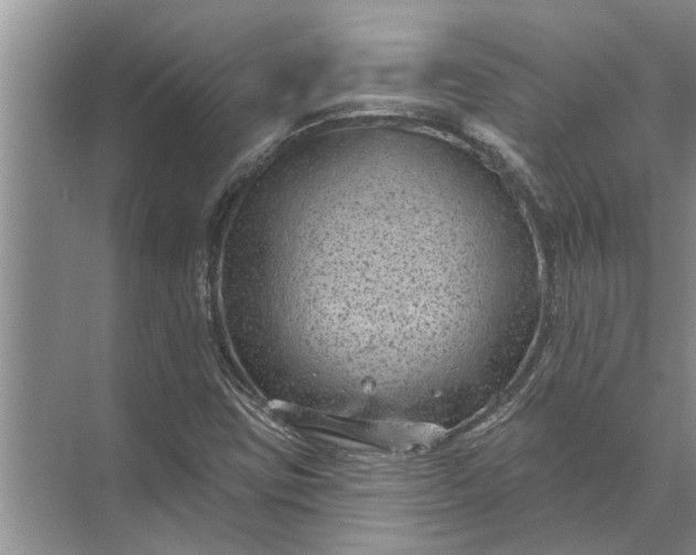 X0000071801403200607150135