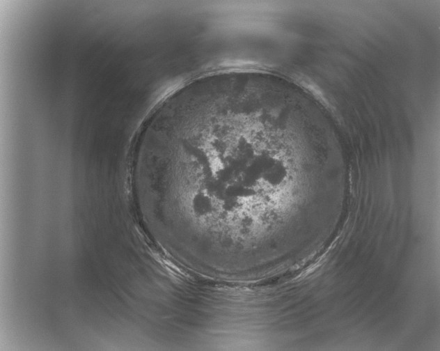 X0000071801405200607150135