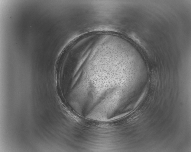 X0000071801408200607150135