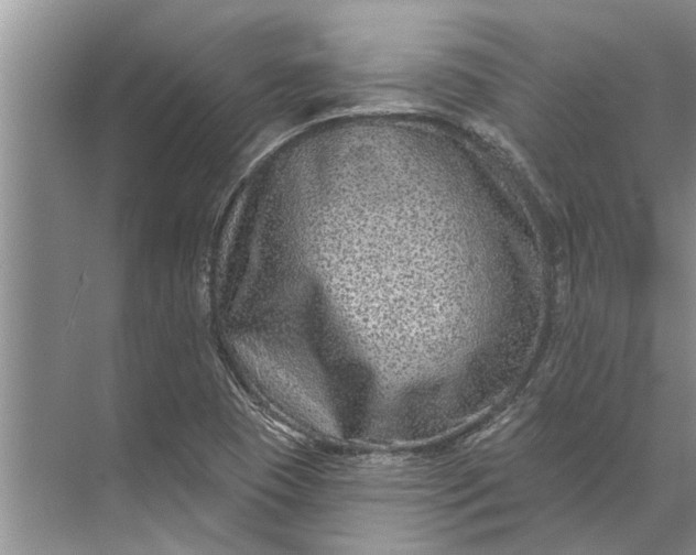 X0000071801409200607150135