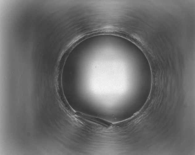 X0000071801410200607150135