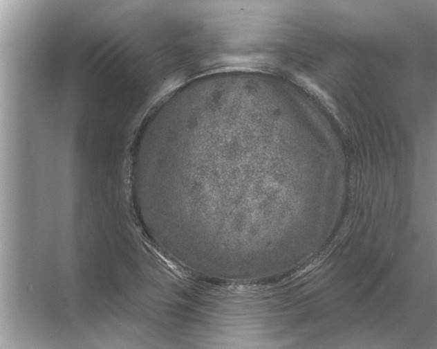 X0000071801411200607150135