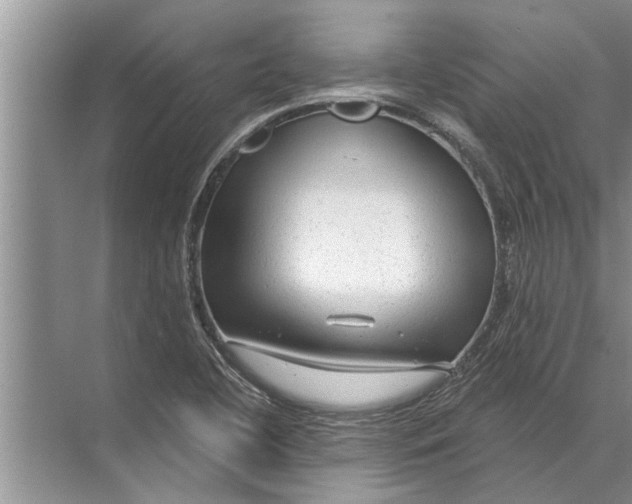 X0000071801412200607150135