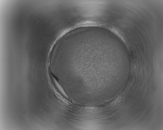 X0000071801413200607150135