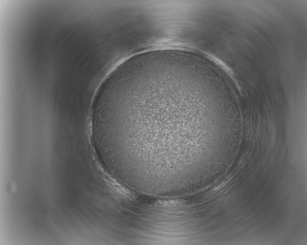 X0000071801415200607150135