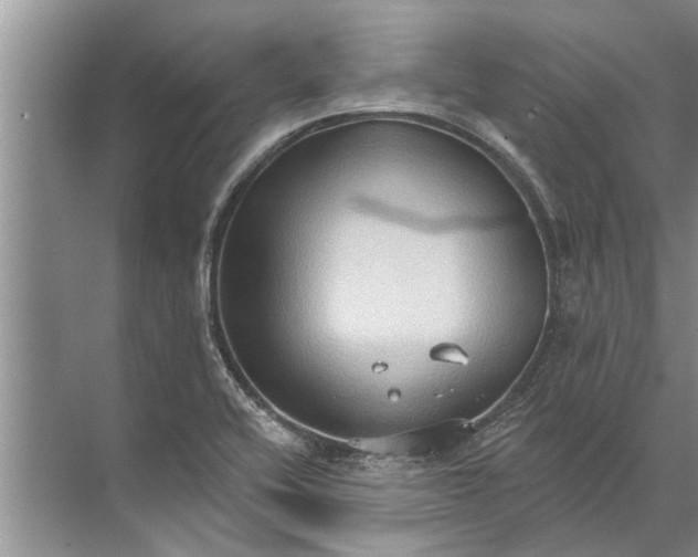 X0000071801416200607150135