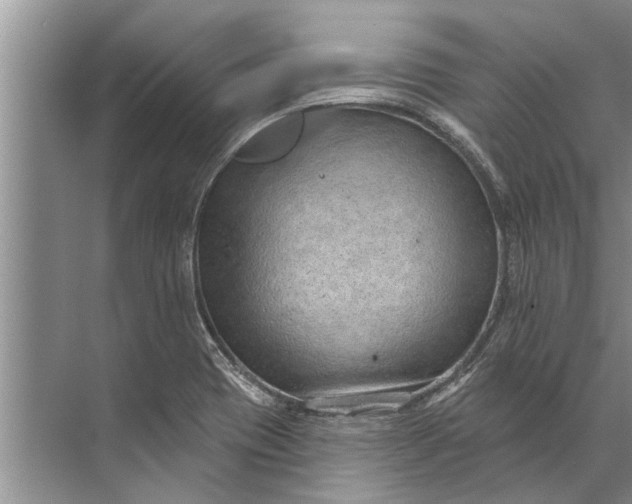 X0000071801417200607150135