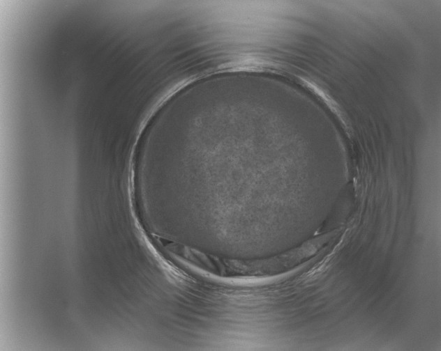 X0000071801418200607150135