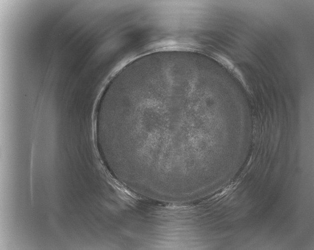 X0000071801419200607150135