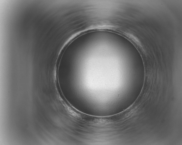 X0000071801420200607150135