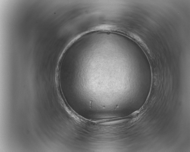 X0000071801421200607150135