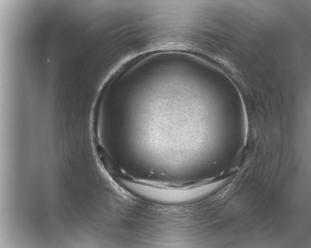 X0000071801422200607150135