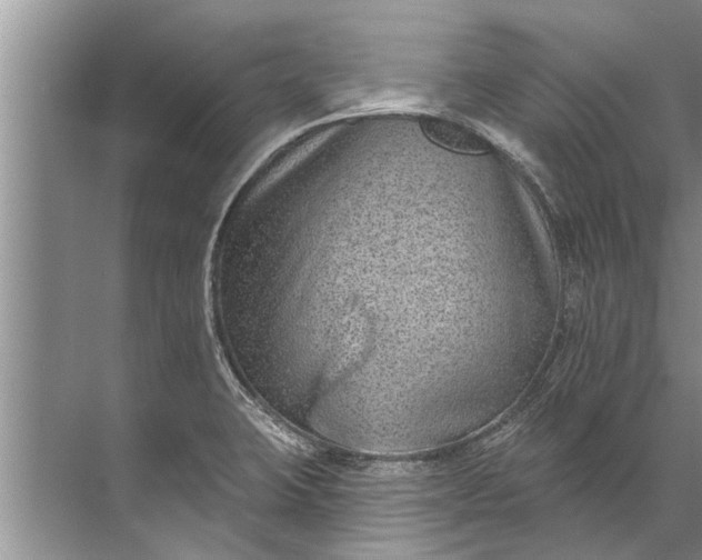 X0000071801423200607150135