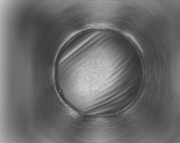 X0000071801424200607150135